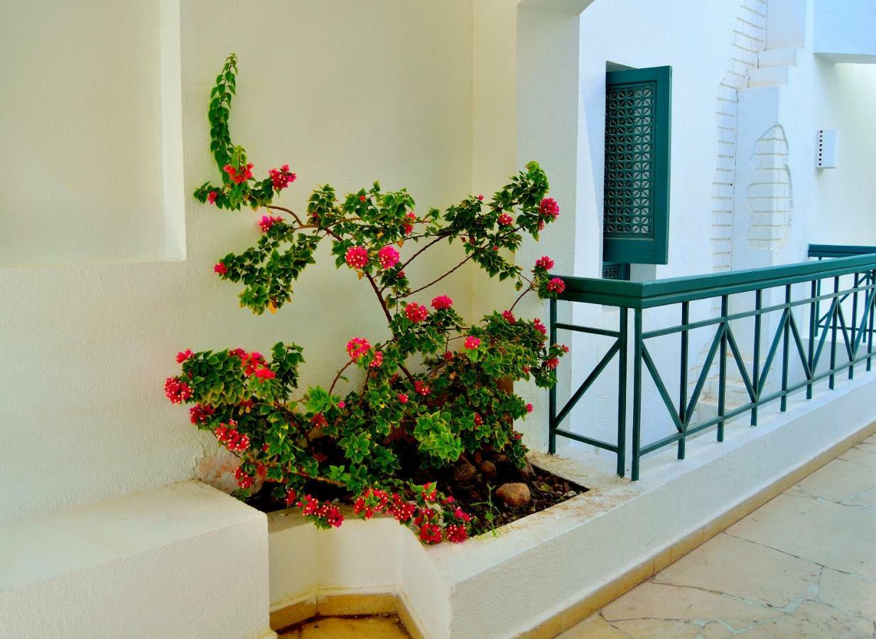 Jaz Neo Naama Bay Hotel Sharm el-Sheikh Exterior photo